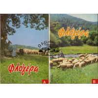 ΦΛΟΓΕΡΑ, ΤΕΥΧΗ Α & Β (ΟΛΟΚΛΗΡΩΜΕΝΟ)